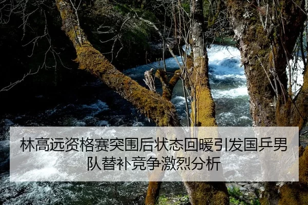 林高远资格赛突围后状态回暖引发国乒男队替补竞争激烈分析